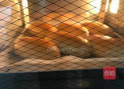 牛肉丸热狗的做法图解4