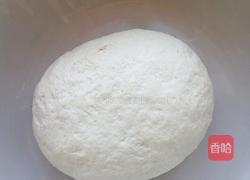 茴香鸡蛋素饺子的做法图解6