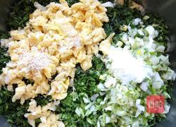 茴香鸡蛋素饺子的做法图解7