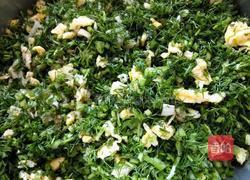 茴香鸡蛋素饺子的做法图解8