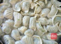 茴香鸡蛋素饺子的做法图解14