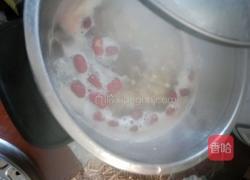 薏米绿豆红枣粥的做法图解5