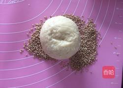 poolish（波兰种）汉堡胚的做法图解9