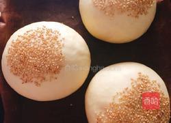 poolish(波兰种)汉堡胚的做法图解10