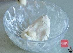 手工黑芝麻汤圆的做法图解7
