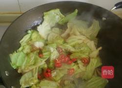 干锅手撕平包菜的做法图解7