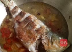 葱烧鲈鱼的做法图解5