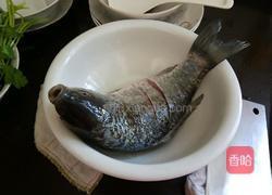 鲫鱼红烧香菜的做法图解2