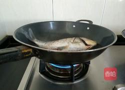 鲫鱼红烧香菜的做法图解6