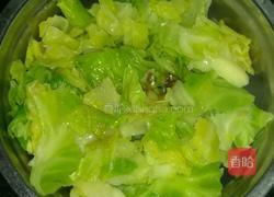 油浇包菜的做法图解3
