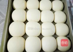 鲜奶油小面包(一次性发酵）的做法图解7