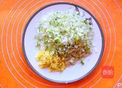 白菜(百财)饺子的做法图解8