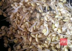 黄豆芽炒粉丝的做法图解6