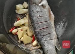 红烧海鲈鱼的做法图解5