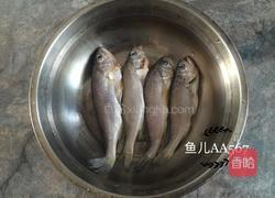 香煎黄花鱼的做法图解1