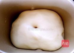 巧克力土司的做法图解8