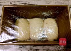 巧克力土司的做法图解14