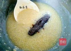 海参小米粥的做法图解4
