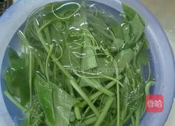 清炒佛手瓜叶的做法图解1