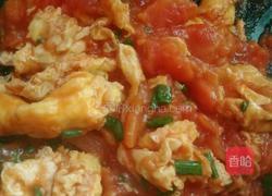 西红柿炒蛋的做法图解10