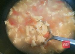 西红柿鸡蛋青菜疙瘩汤的做法图解7