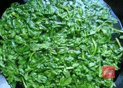 蒜蓉松蒿的做法图解6