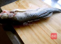 油淋鲈鱼的做法图解2