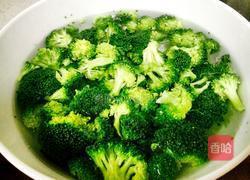 蒜蓉西兰花的做法图解1