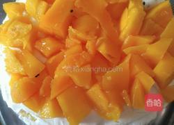 巧克力水果蛋糕的做法图解5