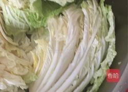韩国酸辣大白菜的做法图解2