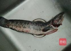 斑鱼瘦肉汤的做法图解1