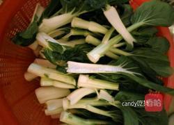 油盐小白菜的做法图解1