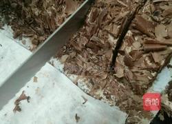 黑森林蛋糕卷的做法图解8