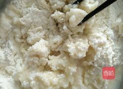 酸菜蒸饺的做法图解13