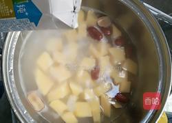 红枣木瓜炖牛奶的做法图解3