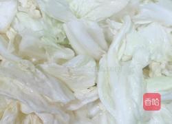 手撕白菜的做法图解3