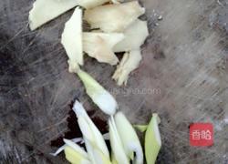 冬瓜胡萝卜炖排骨的做法图解5