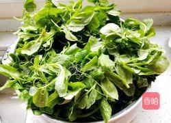 豌豆苗小炒的做法图解2