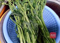 四川冲菜的做法图解3