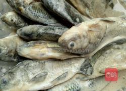 油炸小鲫鱼的做法图解2