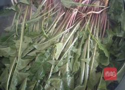 蒲公英煮鱼汤的做法图解1