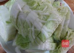 白菜粉条炖豆腐的做法图解3