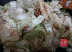 白菜粉条炖豆腐的做法图解7