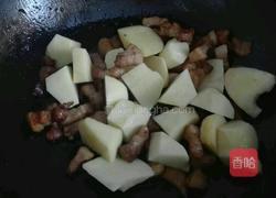 红烧马铃薯五花肉块的做法图解13