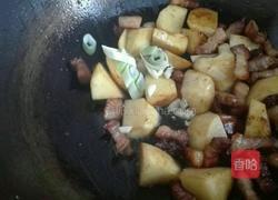 红烧马铃薯五花肉块的做法图解16
