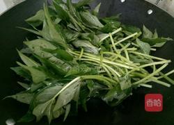 蒜炒红薯叶的做法图解5