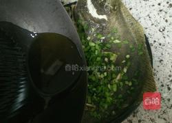 清蒸多宝鱼的做法图解9