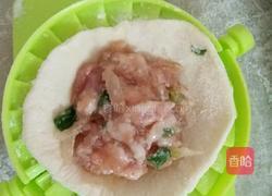 萝卜猪肉馅饺子的做法图解11