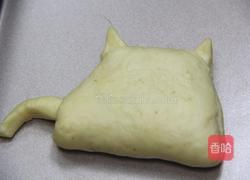 猫咪全麦蜂蜜面包的做法图解10