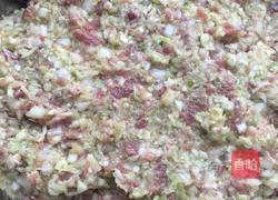 猪肉白菜馅饺子的做法图解7